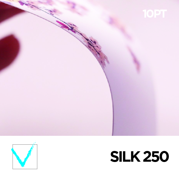 Silk 250g (10PT)