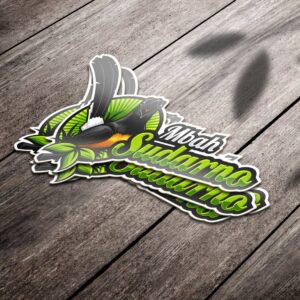 Vinyl Shape Sticker w/ Lamination